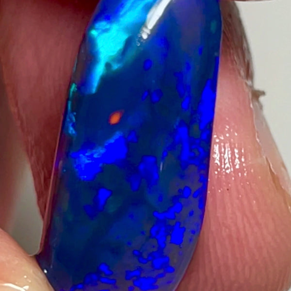 Lightning Ridge Black knobby opal rub/rough 11.25cts Loaded with gorgeous Blues with some green & Red flashes. Polish & Set 22.00x10.00x8.00mm NEW967
