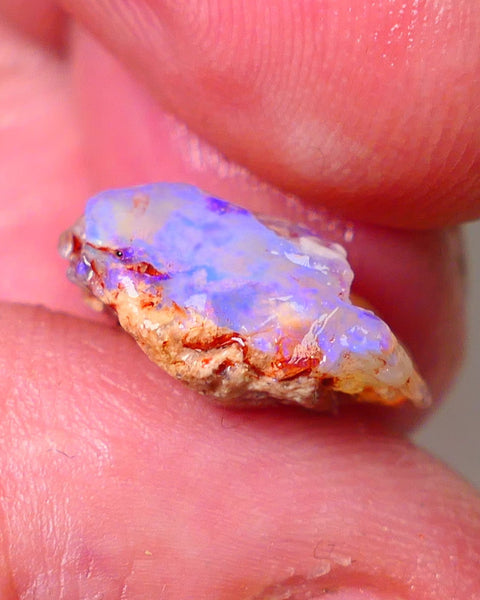 Lightning Ridge Opal Rough Very nice Opalised Wood Fossil 6.25cts Bright Colours 17x12x6mm 0661