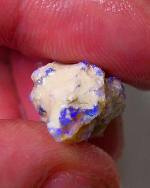 Lightning Ridge Rough Opal 10cts Crystal Pea Knobby showing nice  Bright Multicolours 18x12x11mm 0659