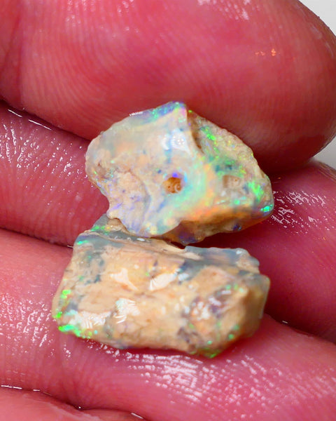 Lightning Ridge Opal Rough Amazing  pair of Opalised Wood Fossil 8.75cts Bright Exotic Multicolours 16x10x5mm &15x10x5mm 0656