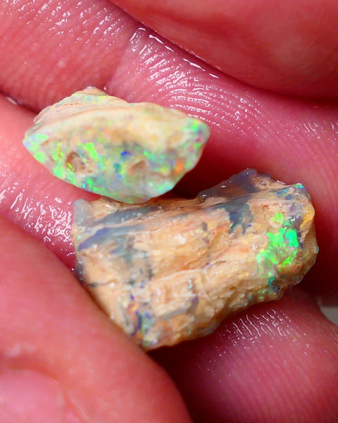 Lightning Ridge Opal Rough Amazing  pair of Opalised Wood Fossil 8.75cts Bright Exotic Multicolours 16x10x5mm &15x10x5mm 0656