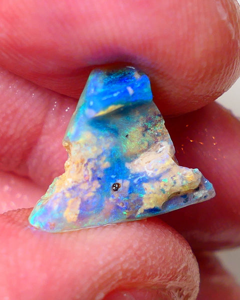 Lightning Ridge Opal Rough Amazing Opalised Fossil 4.4cts Bright Exotic Multicolours 16x13x6mm 0662