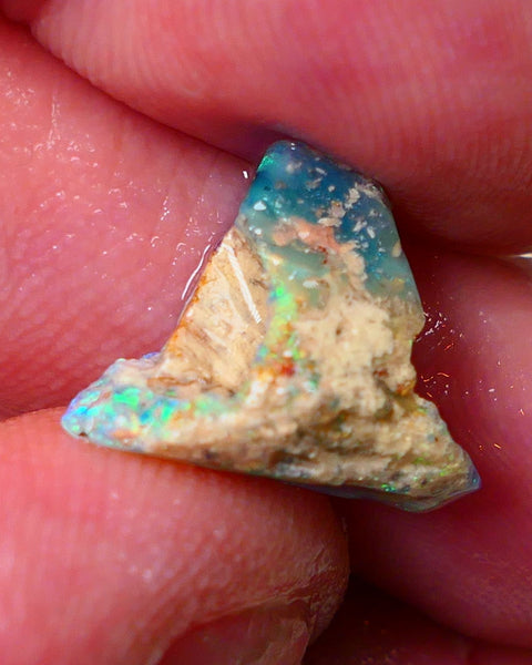 Lightning Ridge Opal Rough Amazing Opalised Fossil 4.4cts Bright Exotic Multicolours 16x13x6mm 0662