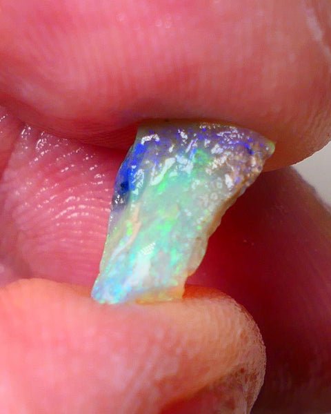 Lightning Ridge Opal Rough Tiny But truly Amazing Opalised Fossil 1.7cts Bright Exotic Multicolours 10x7x3mm 0664