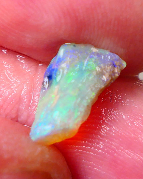 Lightning Ridge Opal Rough Tiny But truly Amazing Opalised Fossil 1.7cts Bright Exotic Multicolours 10x7x3mm 0664