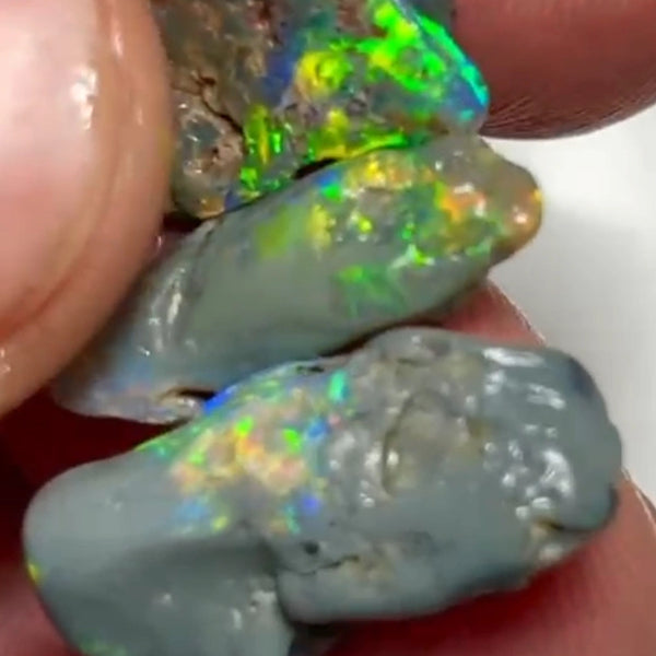 Allawah Knobby opal rough Trio to cut 12.00cts Gorgeous Super Bright Yellow/Green/Orange dominant fires to cut 19x10x4mmto 19x7x4 mm NEW953