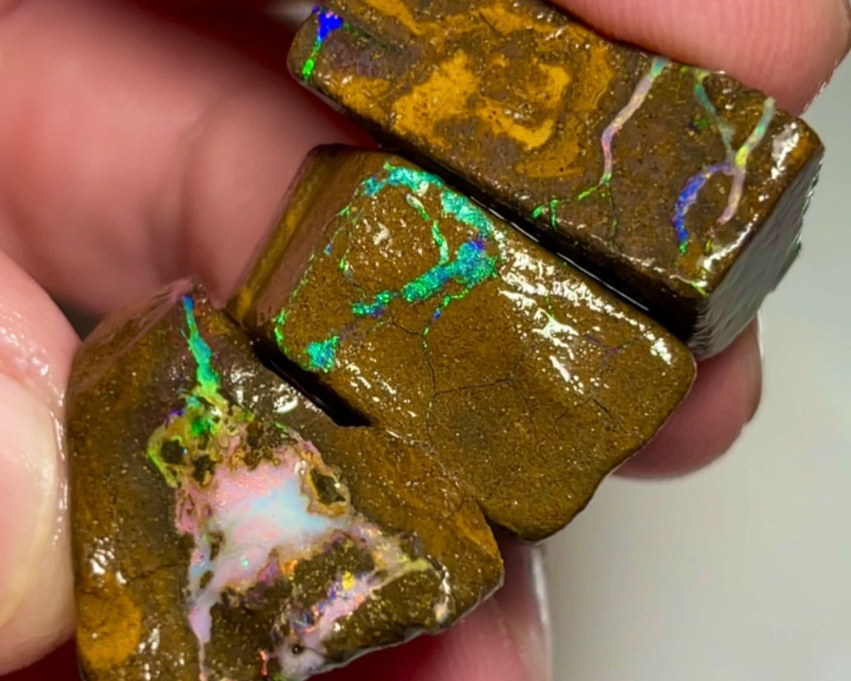 Bling Bling Boulder opal 126cts rough Nice Sized Exotic Gem Winton Bright & Gorgeous Reds &  Multifires 25x17x11mm 22x11x9mm NSA011