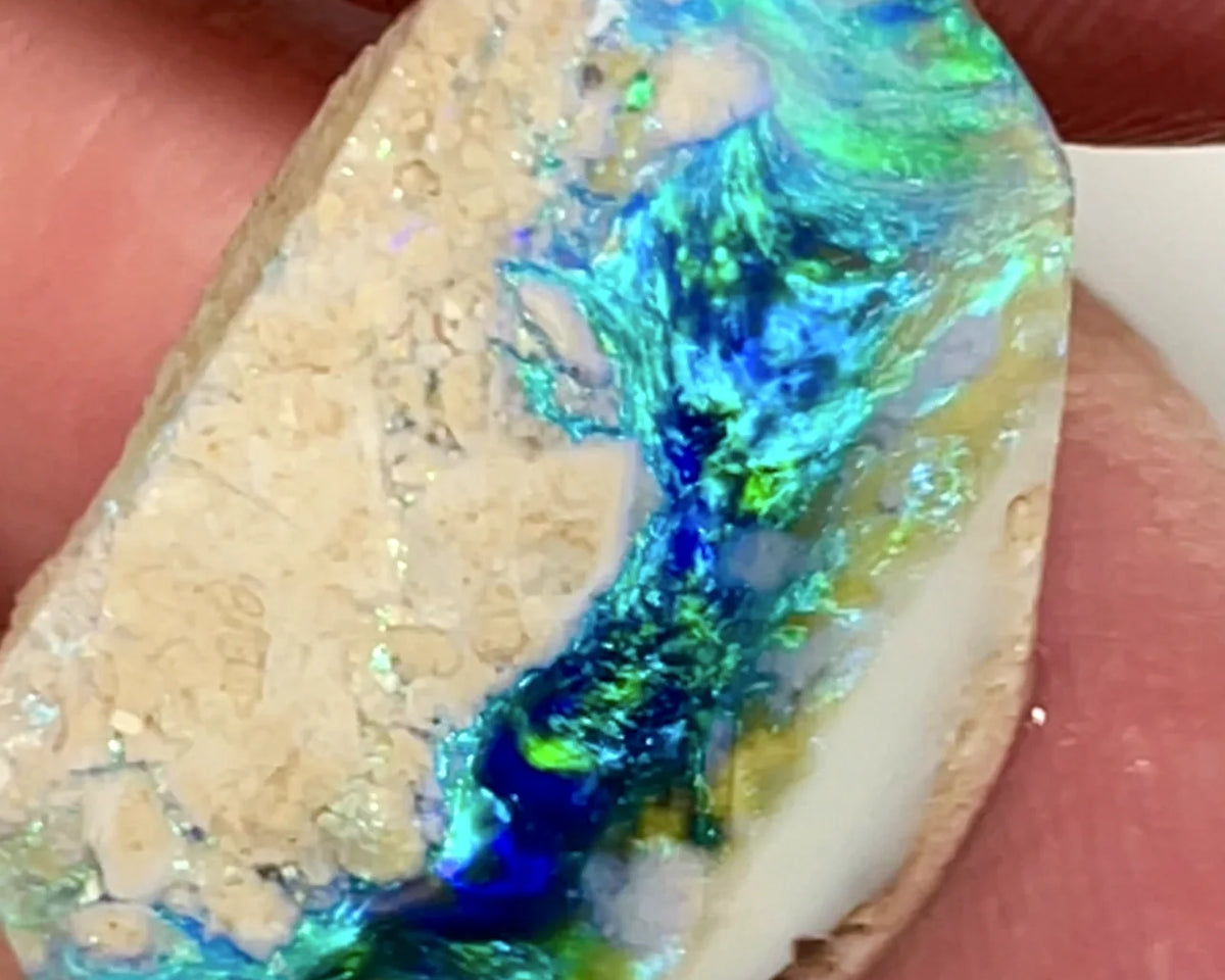 Opal Fever Mate Auction