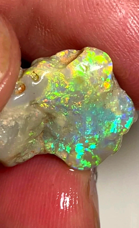 Opal Fever Mate Auction