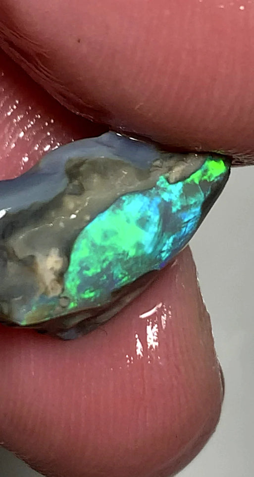 Opal Fever Mate Auction