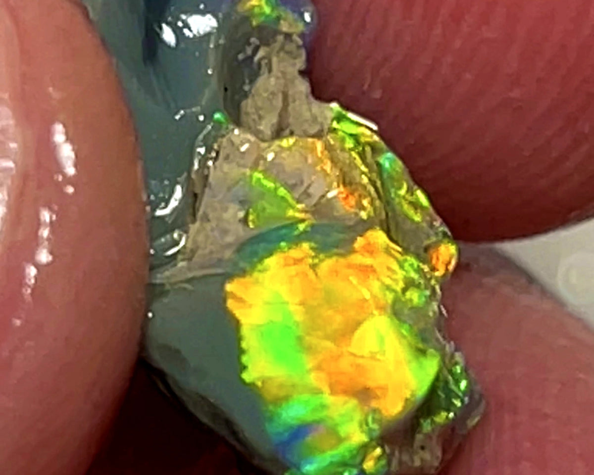 Lightning Ridge Rough Opal 5.25cts Dark Base Carvers Candy High Grade Bright Orange/Yellow Multifires 17x12x8mm WAE2