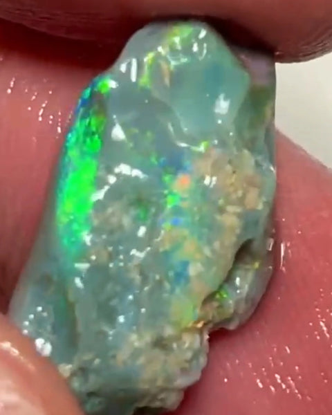 Bright Multicolours on this Dark base knobby opal rough 7.95cts Lightning Ridge Material to cut 20x12x4mm NSW193
