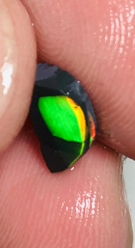 Lightning Ridge Rough / Rub Black Seam opal Miners Bench®  Baby Harlequin 1.45cts Exotic Super Bright Vibrant & Vivid Multifires 12x6x2mm WSY92