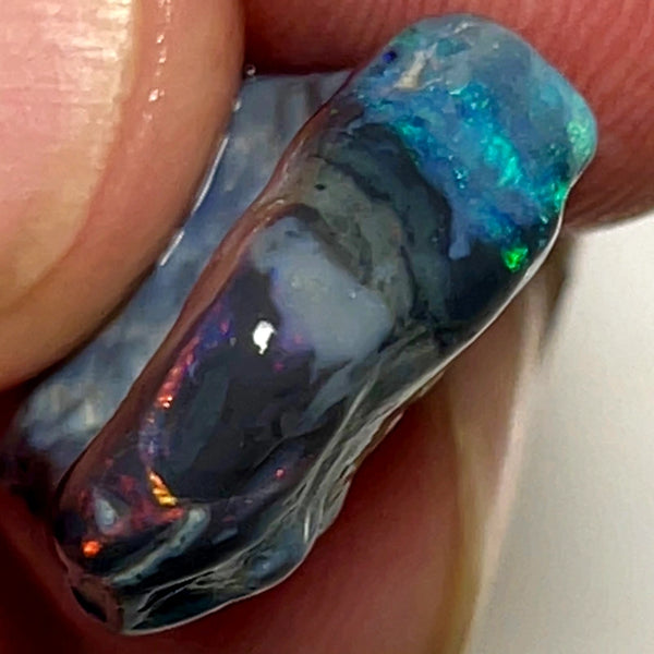 Lightning Ridge Rough Opal 11.5cts Stunning Black base Seam Gorgeous Reds Greens & Multifires in bars 20x14x5mm WAD44