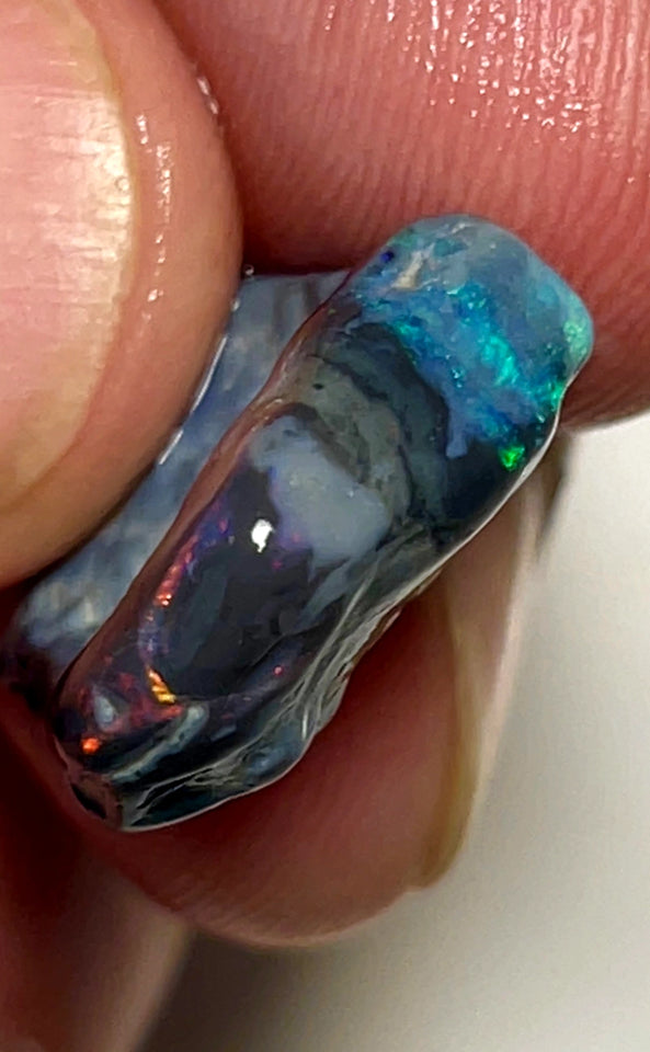 Lightning Ridge Rough Opal 11.5cts Stunning Black base Seam Gorgeous Reds Greens & Multifires in bars 20x14x5mm WAD44