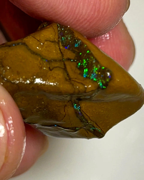 Queensland Boulder Matrix opal 50cts rough Winton Amazing very Unique & Bright colour in veins  20x20x15mm WAD54