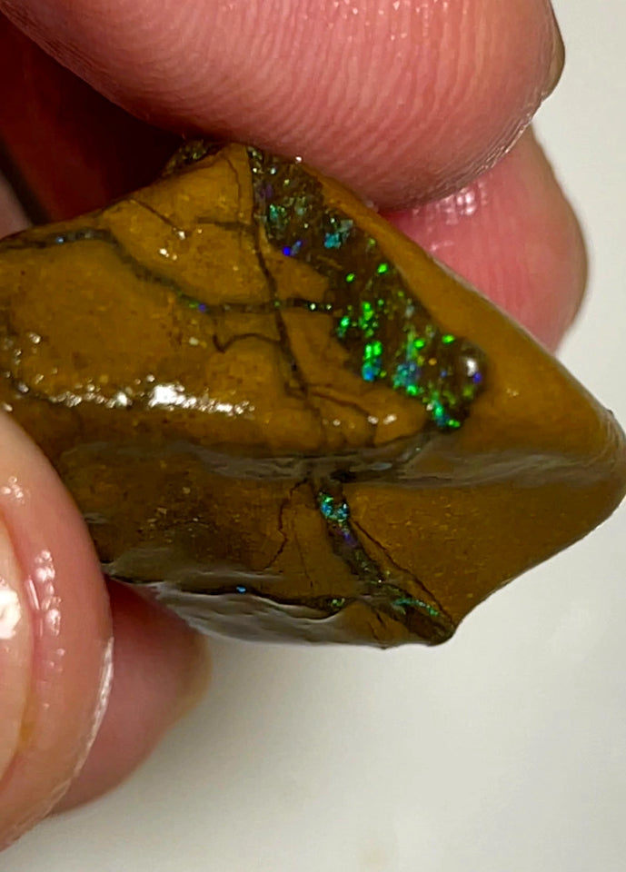 Queensland Boulder Matrix opal 50cts rough Winton Amazing very Unique & Bright colour in veins  20x20x15mm WAD54