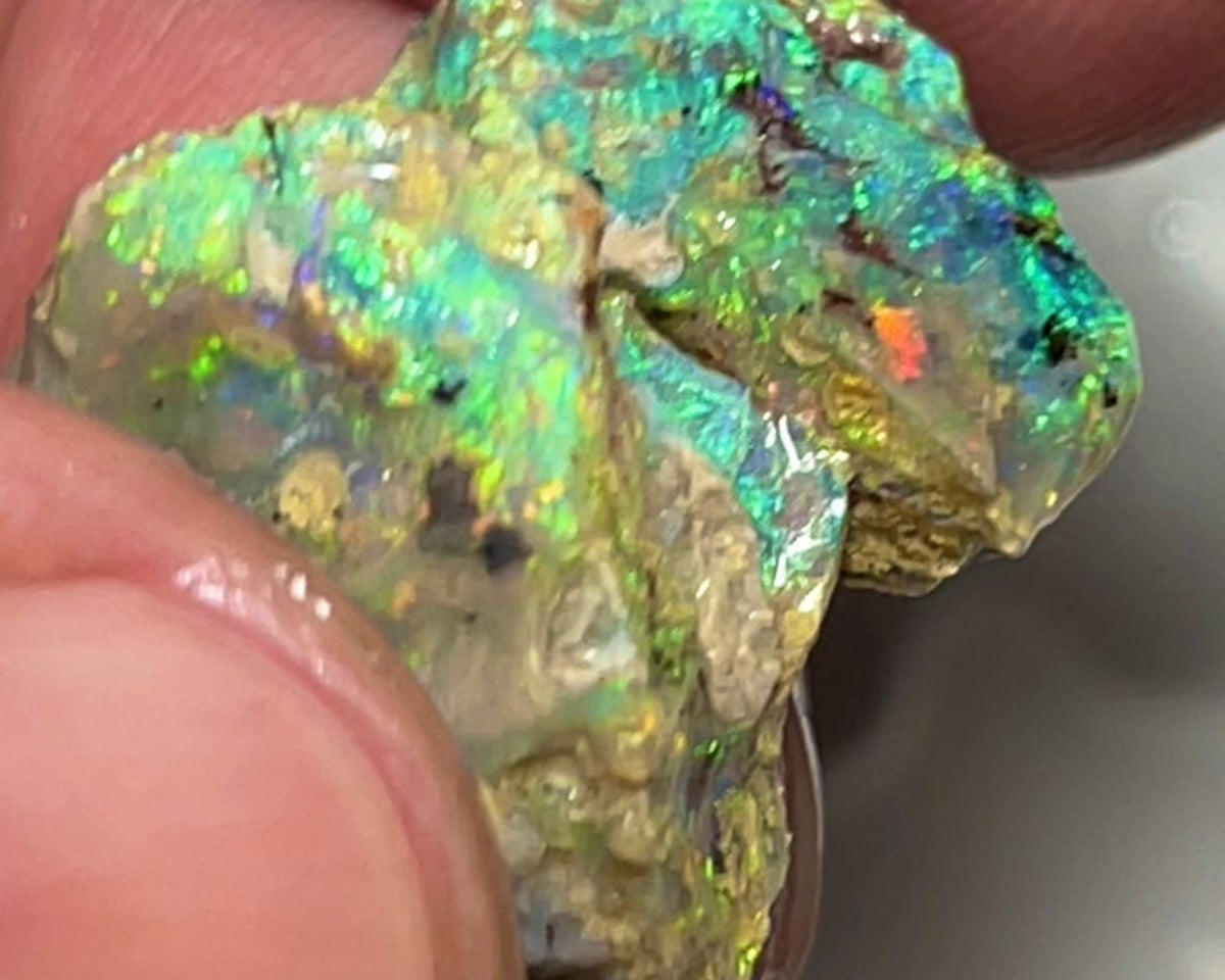 Exotic Very Unique Knobby opal formation Split 14.25cts Rough Full of Bright Multifires 18x13x7mm 15x12x6mm Auction112