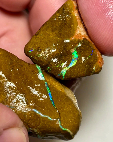 Queensland Boulder Matrix opal 110cts rough Pair Winton Nice Sized Gorgeous Multi colour Bars to expose & explore 35x22x18mm & 25x20x14mm WAD50