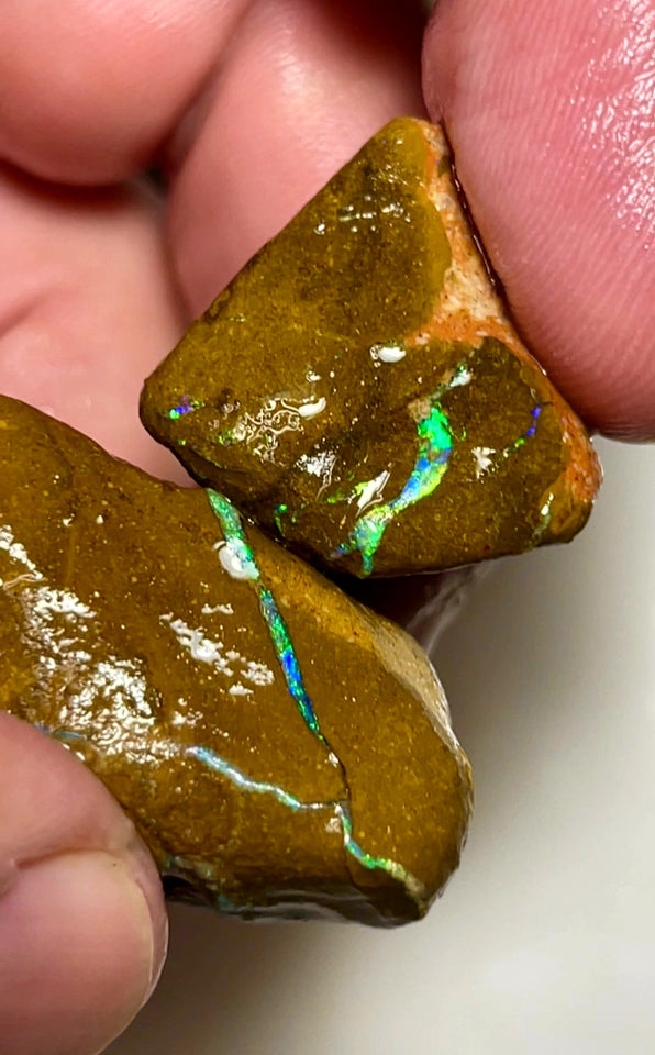 Queensland Boulder Matrix opal 110cts rough Pair Winton Nice Sized Gorgeous Multi colour Bars to expose & explore 35x22x18mm & 25x20x14mm WAD50