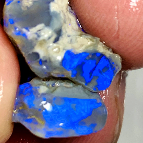 OPAL MONTH SPECIAL Lightning Ridge Rough Pair Dark Seam opals 26cts Stunning Bright Blues 22x17x9mm & 15x13x4mm WSZ55