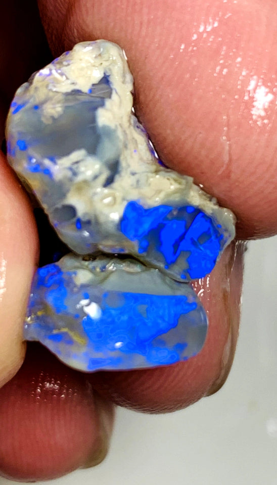 OPAL MONTH SPECIAL Lightning Ridge Rough Pair Dark Seam opals 26cts Stunning Bright Blues 22x17x9mm & 15x13x4mm WSZ55