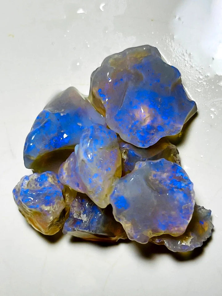 Opal Fever Mate Auction