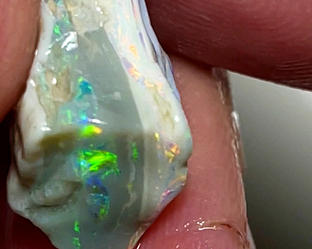 Australian Rough Opal 9.5cts Dark base Knobby of Lightning Ridge Gorgeous Bright Multifires 15x10x8mm WAE04