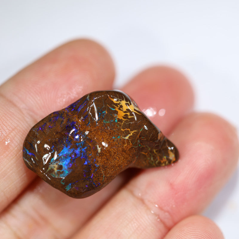 NO RESERVE Australian Queensland Boulder Matrix opal single 36cts Tumbled rough Koroit colours & potential 27x15x14mm WST21