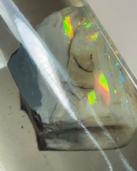 CUTTERS GEM ROUGH Lightning Ridge  47.75cts Bright gorgeous Multicolours to cut & polish 33.00x 18.00x 17.00mm NEW973