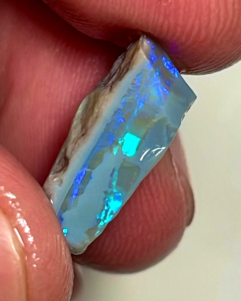 Lightning Ridge Rough Opal 8.25cts Cutters  Stunning Dark Base High Grade Bright Multifires 21x12x8 mm WAE27