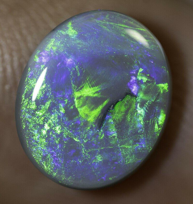 Lightning Ridge Semi Black Opal Gemstone 2.48cts N5 Body Tone B3 Brightness Stunning Multi fires & play of colour 11x9x3mm WSF8877