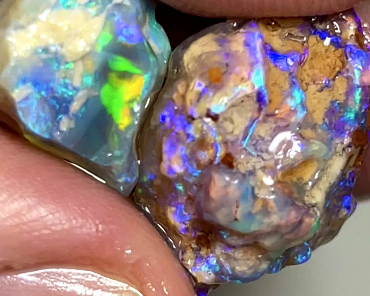 Opal Fever Mate Auction