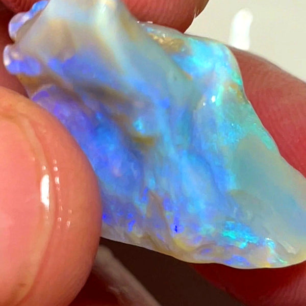 Lightning Ridge Rough Opal 20.5cts Stunning Thick Dark Crystal Seam with Gorgeous fires 27x22x8mm WAD6