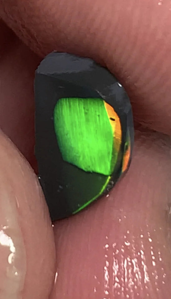 Lightning Ridge Rough / Rub Black Seam opal Miners Bench®  Baby Harlequin 1.45cts Exotic Super Bright Vibrant & Vivid Multifires 12x6x2mm WSY92