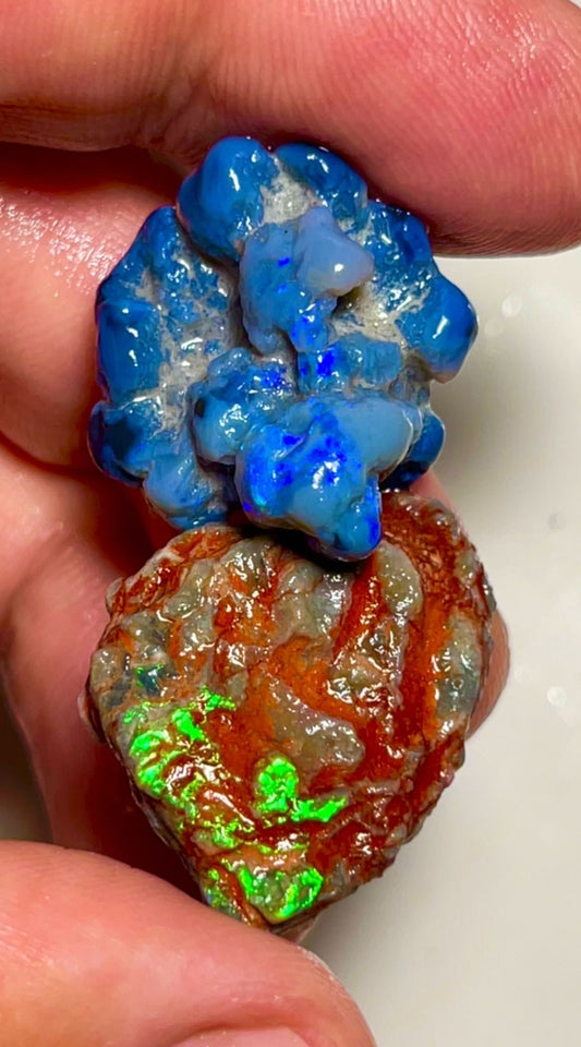 Pair of nice sized Opal formations from Lightning Ridge 42.00cts Bright Blue & Green fires  23x22x14 & 29x19x7 mm NSW047