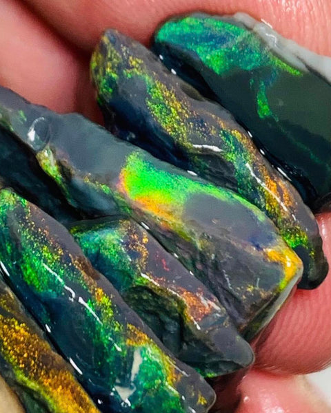 N1-N4 Mulga® Field Black Cutters Candy® Rough Opal parcel 64cts Gem Grade Top Exotic Bright Multi colour fires 35x25x8mm to 20x15x5mm MUL99