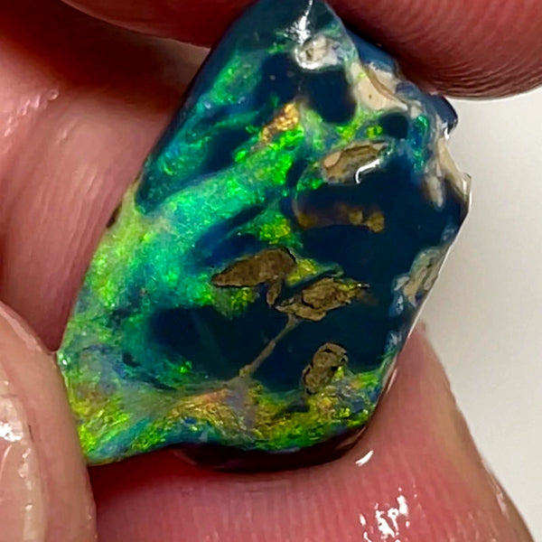 Lightning Ridge Opal Rough/Rub Black Specimen From the Miners Bench® 9.5cts Gorgeous Bright Multi fires 20x12x7mm WAC51