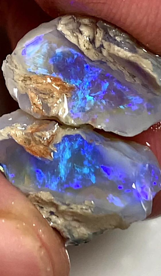 Opal Fever Mate Auction