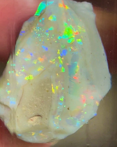 CUTTERS GEM ROUGH Lightning Ridge  47.75cts Bright gorgeous Multicolours to cut & polish 33.00x 18.00x 17.00mm NEW973
