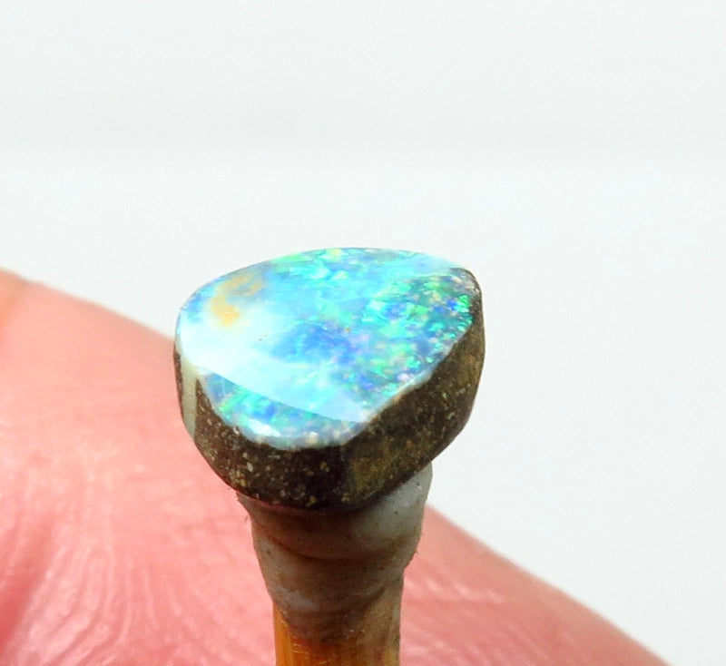 Winton Boulder Opal Gemstone 1.4cts Jewellery Grade N6 Body Tone B3 Brightness Stunning Display of Bright Blue & greens Fires 8x7x3mm FB06