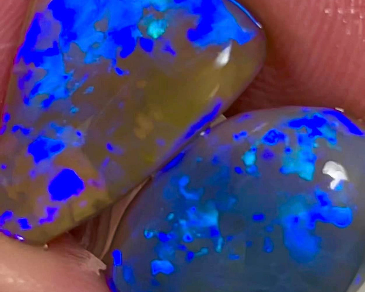 Lightning Ridge Rough / Rub Dark Base Crystal opal Pair Miners Bench® High dome knobby 12.2cts Gorgeous Bright Fires 16x12x5mm & 16x13x3mm MFB02