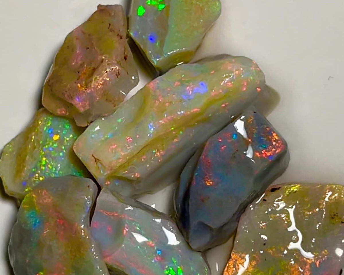 Lightning Ridge Rough Opal Parcel 65cts Select Dark base loaded bright Multicolours material to cut 25x10x7mm to 14x12x4mm MFB04