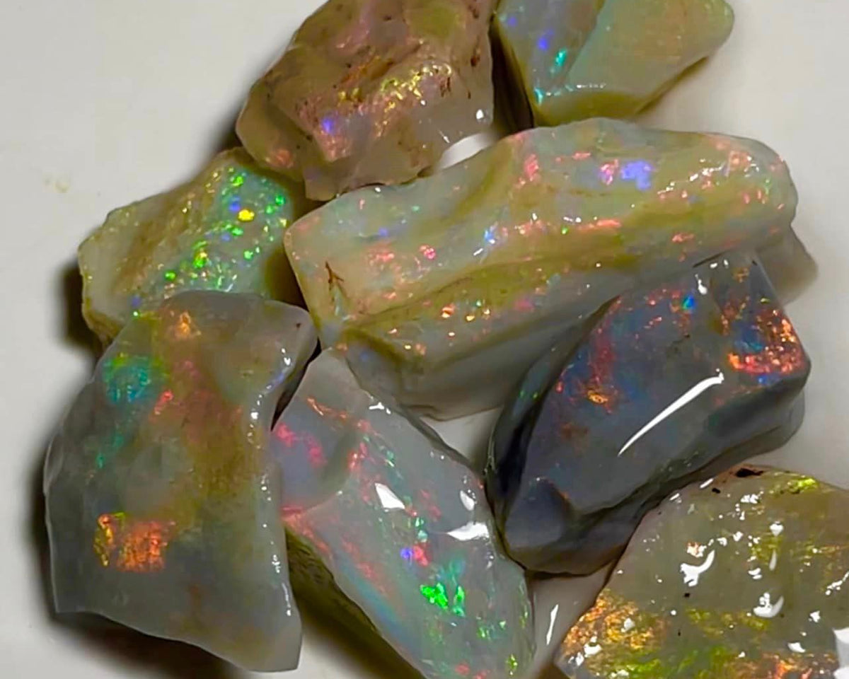 Lightning Ridge Rough Opal Parcel 65cts Select Dark base loaded bright Multicolours material to cut 25x10x7mm to 14x12x4mm MFB04