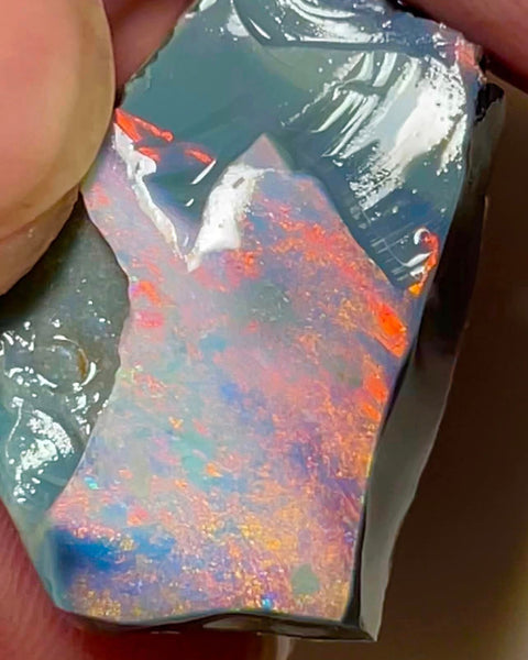 Mulga®  Dark Seam opal Miners Bench® rub rough 28cts Reds & Pinks to face 25x16x9mm  MFB27