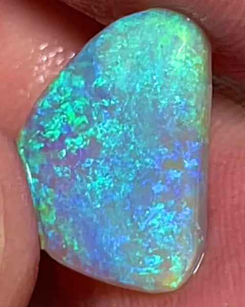 Lightning Ridge Rough / Rub Gem Grade Crystal opal Miners Bench® 4.5cts Gorgeous Display of Green Blue & Aqua fires 15x11x3mm MFB41