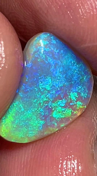 Lightning Ridge Rough / Rub Gem Grade Crystal opal Miners Bench® 4.5cts Gorgeous Display of Green Blue & Aqua fires 15x11x3mm MFB41
