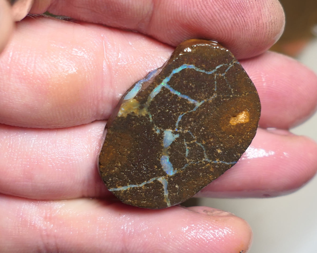 Queensland Boulder Matrix opal 55cts rough / slice Koroit some fires 30x20x6mm JanA50