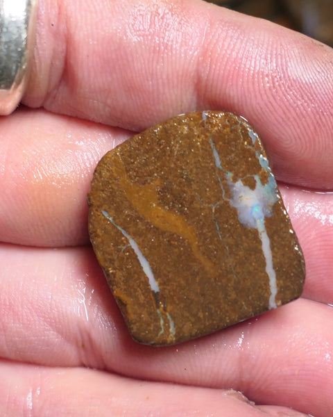 Queensland Boulder Matrix opal 40cts rough / slice Koroit  some fires 25x20x5mm JanA65