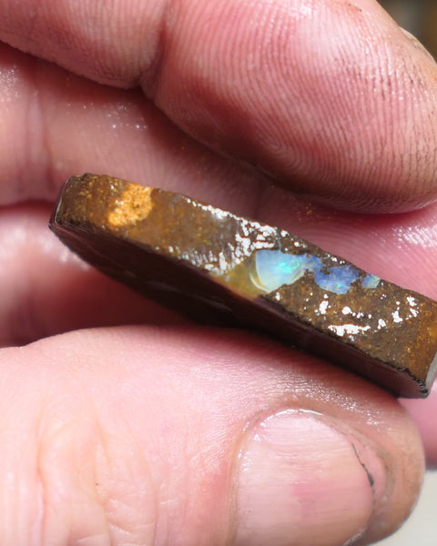 Queensland Boulder Matrix opal 55cts rough / slice Koroit some fires 30x20x6mm JanA50